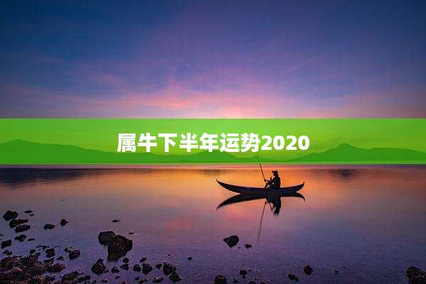 属牛下半年运势2020