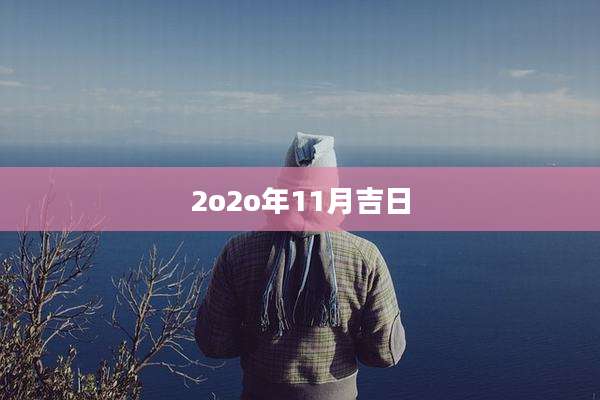 2o2o年11月吉日