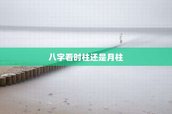 八字看时柱还是月柱