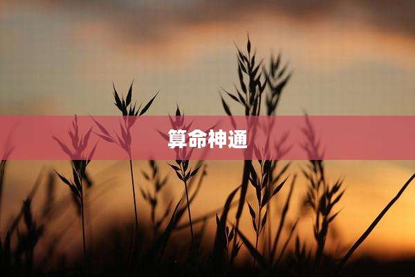 算命神通