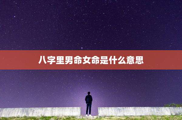 八字里男命女命是什么意思