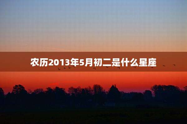 农历2013年5月初二是什么星座