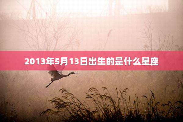 2013年5月13日出生的是什么星座