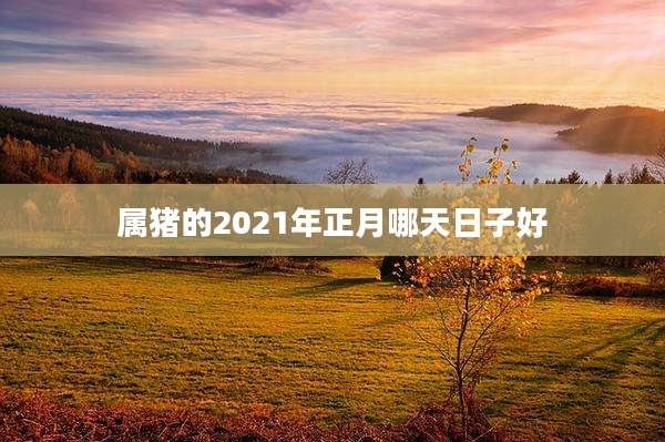 属猪的2021年正月哪天日子好