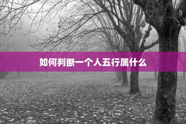 如何判断一个人五行属什么