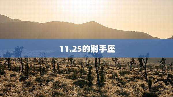 11.25的射手座