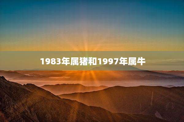 1983年属猪和1997年属牛