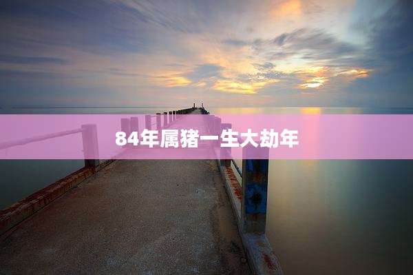 84年属猪一生大劫年