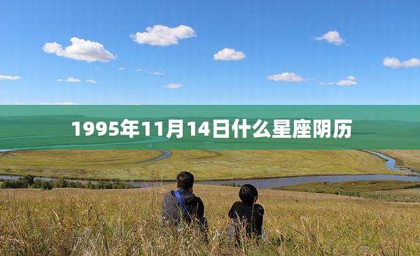 1995年11月14日什么星座阴历