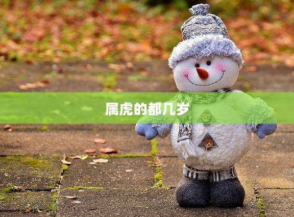 属虎的都几岁