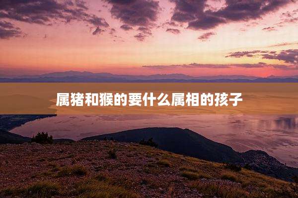 属猪和猴的要什么属相的孩子