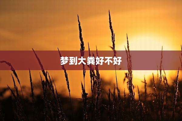 梦到大粪好不好