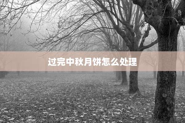 过完中秋月饼怎么处理