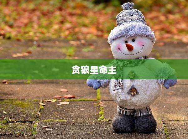 贪狼星命主