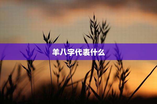 羊八字代表什么