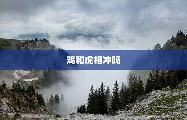 鸡和虎相冲吗