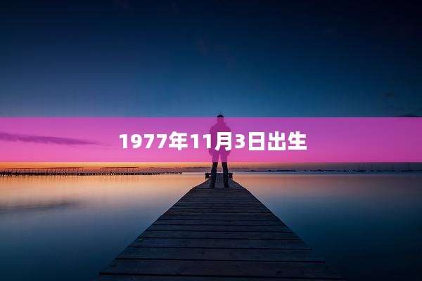 1977年11月3日出生