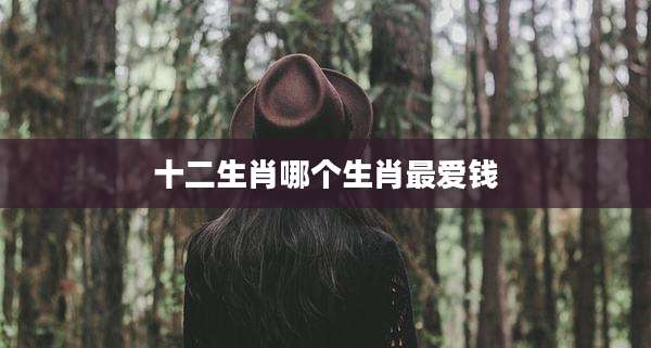 十二生肖哪个生肖最爱钱