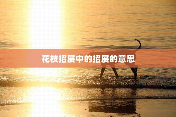 花枝招展中的招展的意思