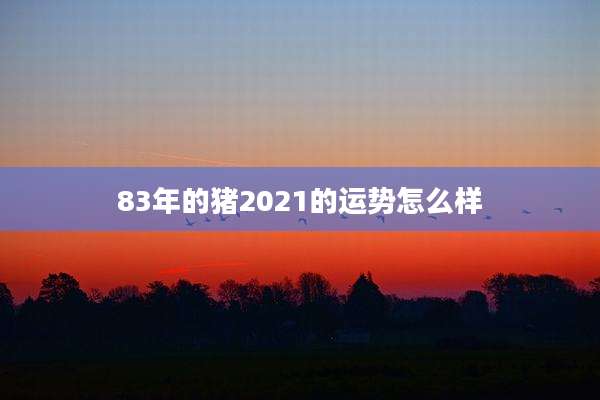 83年的猪2021的运势怎么样
