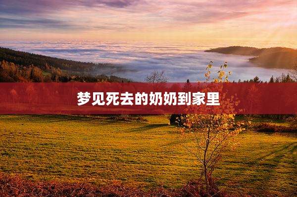 梦见死去的奶奶到家里
