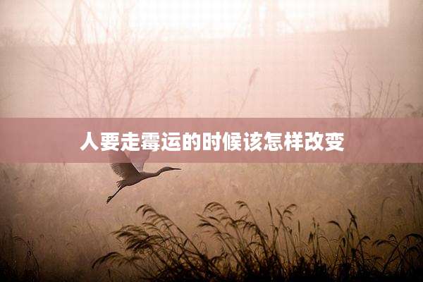 人要走霉运的时候该怎样改变