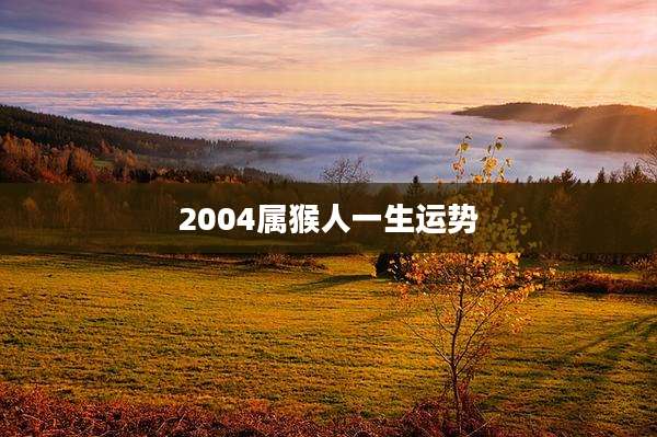 2004属猴人一生运势