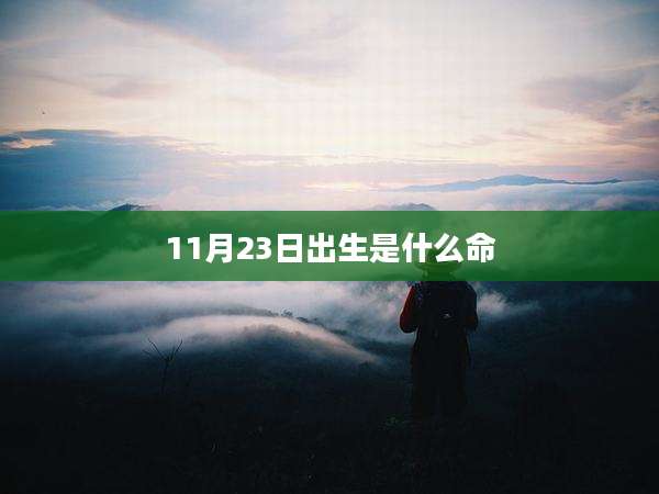 11月23日出生是什么命