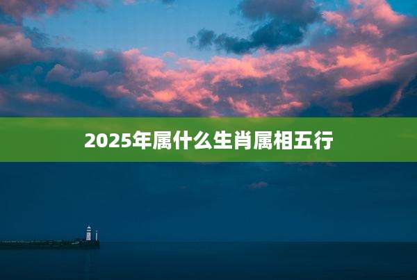 2025年属什么生肖属相五行