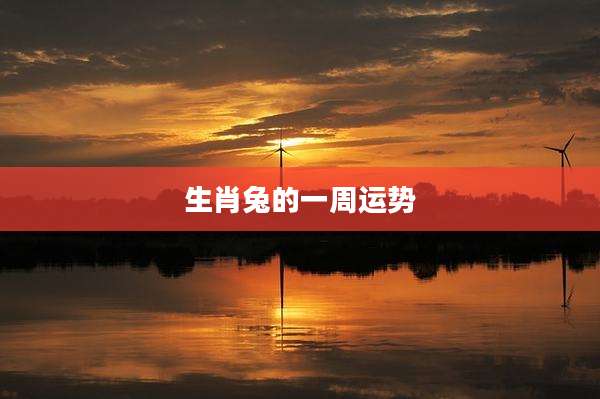 生肖兔的一周运势
