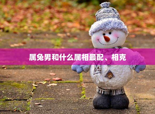 属兔男和什么属相最配、相克