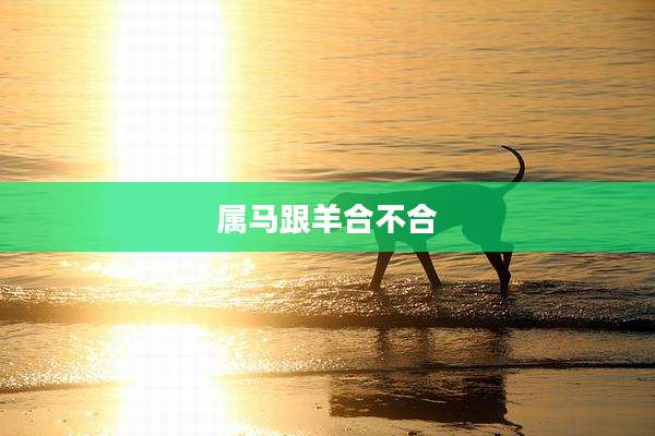 属马跟羊合不合