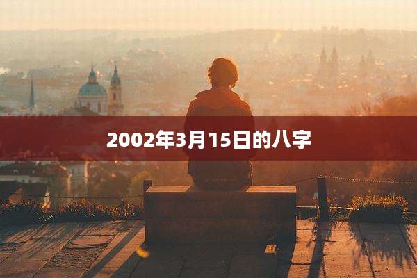 2002年3月15日的八字