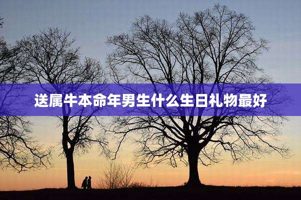 送属牛本命年男生什么生日礼物最好