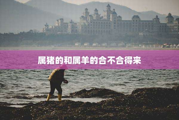 属猪的和属羊的合不合得来