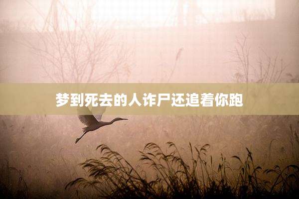 梦到死去的人诈尸还追着你跑