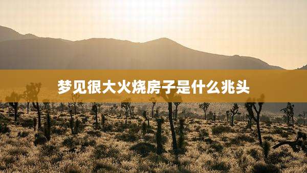 梦见很大火烧房子是什么兆头