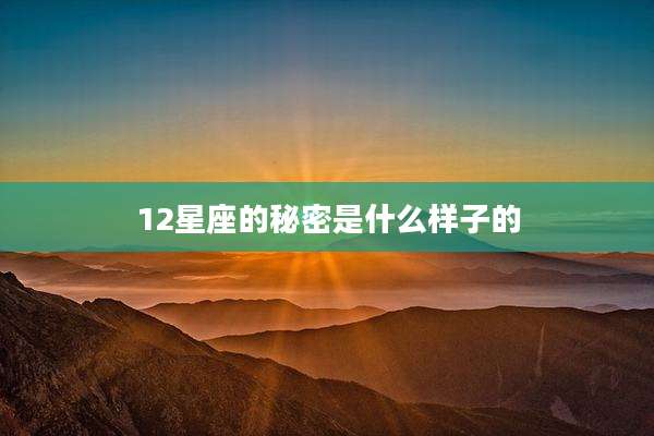 12星座的秘密是什么样子的