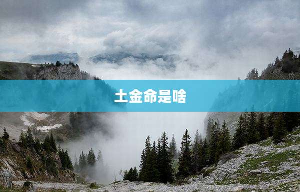 土金命是啥