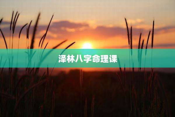泽林八字命理课