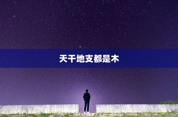 天干地支都是木
