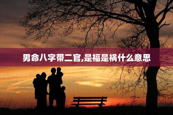 男命八字带二官,是福是祸什么意思
