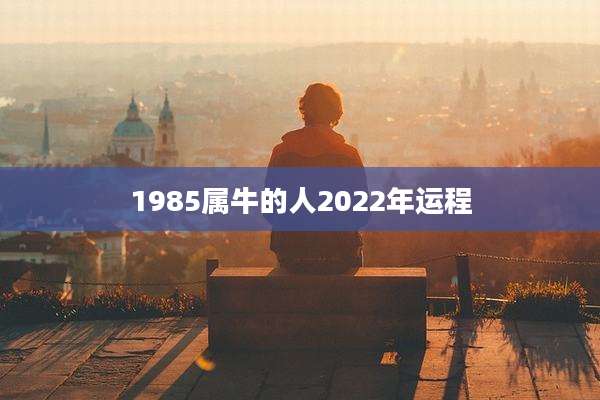1985属牛的人2022年运程