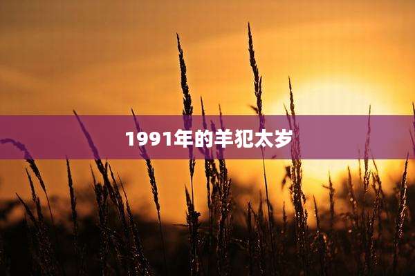 1991年的羊犯太岁