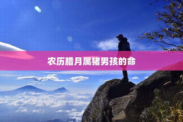 农历腊月属猪男孩的命