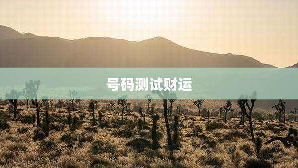 号码测试财运