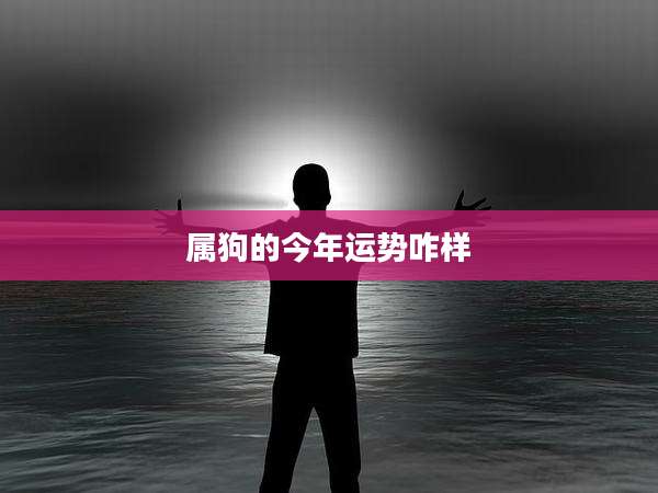 属狗的今年运势咋样