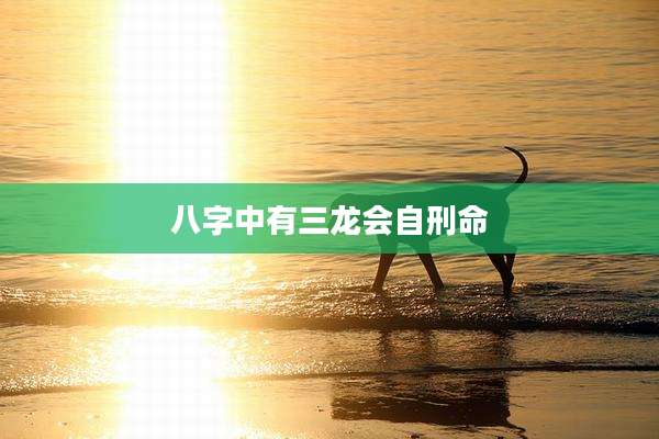 八字中有三龙会自刑命