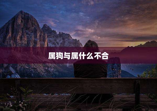 属狗与属什么不合