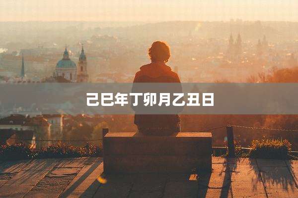 己巳年丁卯月乙丑日